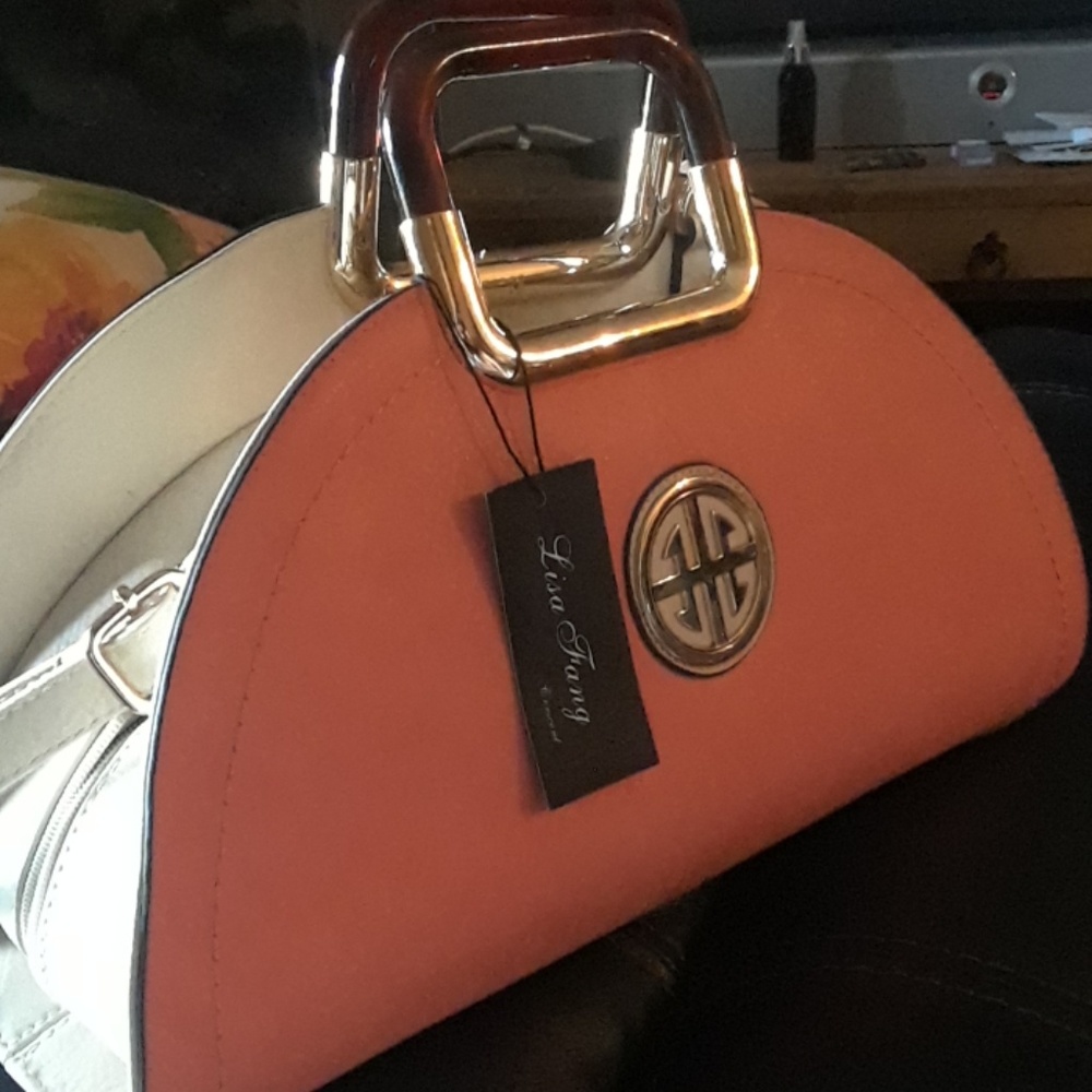 Lisa fang tote